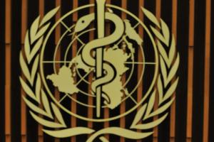 Grippe A : 700 morts dans le monde selont l&rsquo;OMS