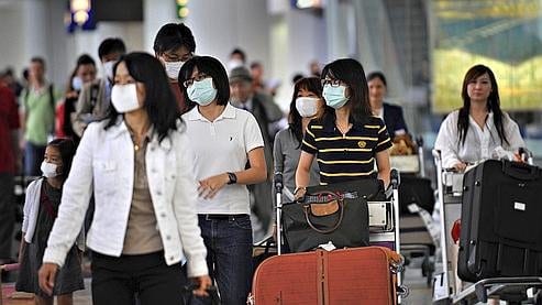 Grippe Porcine : 615 cas dans le monde, 17 mortels