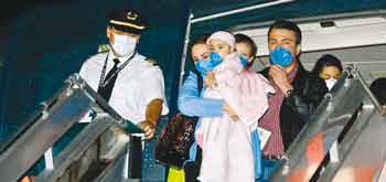 Grippe Porcine : Alerte pandémique phase 5 et 6