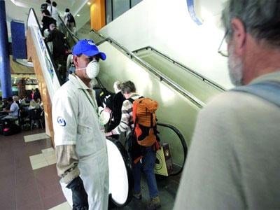 Grippe Porcine : L’Algérie commence à réagir