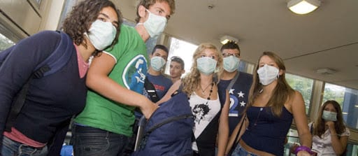 Grippe porcine : Le H1N1 s’invite en soirée