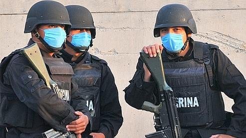 Grippe porcine : Le Mexique recense 42 morts