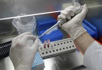 Grippe porcine : Le vaccin sera disponible en octobre