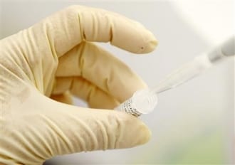 Grippe porcine : Un deuxième mort en Grande-Bretagne