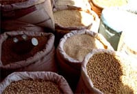 Hausse des prix des légumes secs  Les premiers impacts  de la LFC