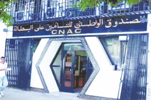 Ils ont généré 183 postes d’emploi :71 projets financés par la Cnac dans la wilaya d’Aïn Témouchent