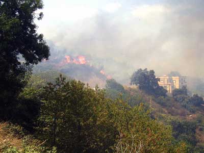 Incendies à Tlemcen 385 ha de massifs forestiers détruits en une semaine