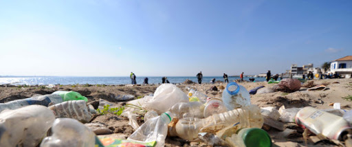 Incivisme, négligences, atteintes à l’environnement, le syndrome algérien (1ère partie)