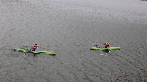 JO-2016 (1e j): entre abandon et repêchage pour les Algériens