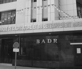 La BADR continue de harceler les agriculteurs