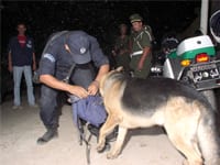 La criminalité en baisse au premier semestre 2009