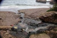 La pollution menace les plages du littoral d’Alger Les estivants nagent dans des eaux troubles