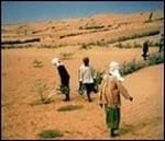 La steppe algérienne menacée par la désertification