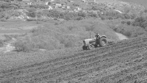 L&rsquo;agriculture pourrait nourrir 100 millions d&rsquo;algériens