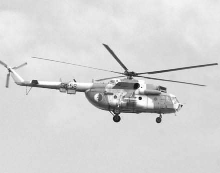 L’armée résolue à anéantir le terrorisme en Algérie