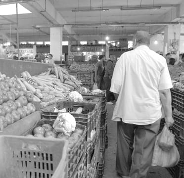 Les grossistes fixent les prix du marché par téléphone