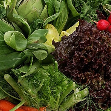 Les impacts du régime végétarien sur la santé