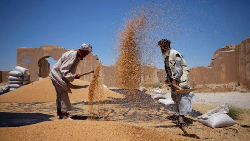 Les prix mondiaux des produits alimentaires en légère baisse