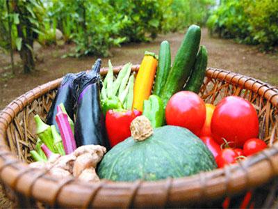 LFC 2009 : Un programme pour la sécurité alimentaire