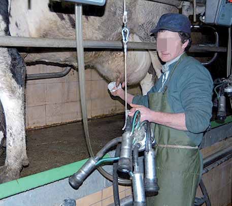 L&rsquo;Italie veut lancer des projets de coopération dans l’Oranie