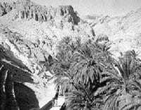 L’ITDAS et de l’ACSAD signent une convention pour développer l’utilisation des eaux salées