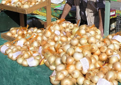 L’oignon détrône la pomme de terre