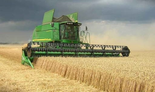 Mascara: la production céréalière dépasse toutes les prévisions