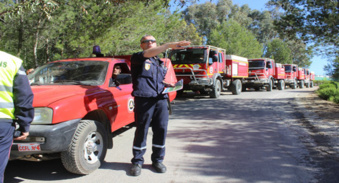 Mascara : Les ‘’pyromanes’’ se déchainent sur la flore
