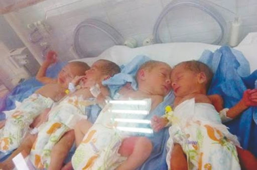 Naissance des quadruplés à Skikda: La Dass prend en charge matériellement la famille
