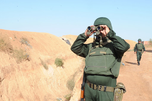 Opérations de l&rsquo;Anp à Batna et In Guezzam Un terroriste abattu et 32 contrebandiers arrêtés