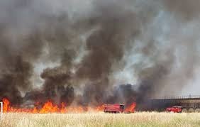 Oum El Bouaghi : 17 incendies de forêt depuis juin