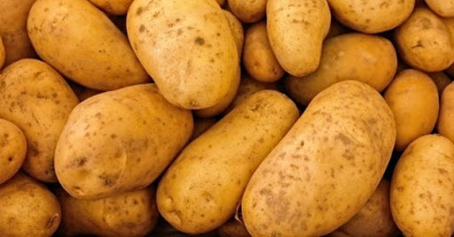 Projet de création de pôles agricoles: Les résultats se font attendre