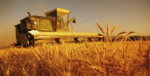 « Redoubler » d&rsquo;effort pour rapprocher les agriculteurs des mécanismes d&rsquo;aide de l&rsquo;Etat