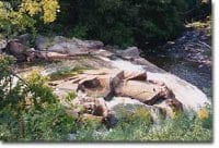 Renforcer son organisme avec la naturopathie