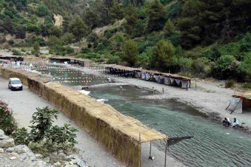 Saison estivale à Blida: flop touristique à Hammam Melouane