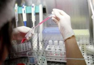 Selon une étude : Identification d’une substance pouvant traiter trois maladies tropicales