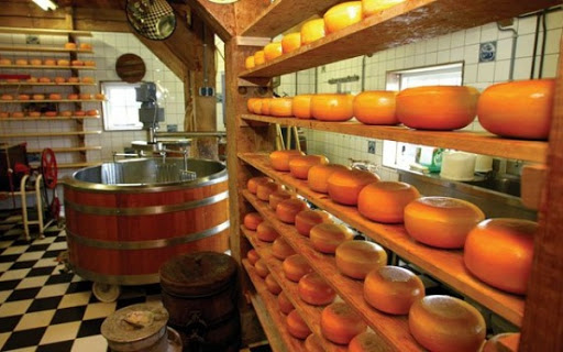 Souk Ahras : l’expérience hollandaise dans la fabrication des fromages thème d’une formation pour agriculteurs
