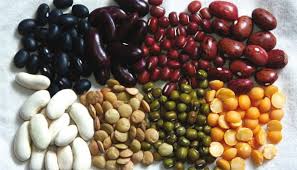 Tiaret : La production des légumes secs a triplé