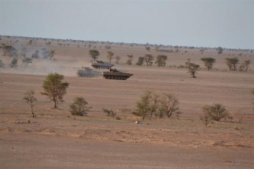 Trois terroristes se rendent aux autorités sécuritaires à Adrar (MDN)