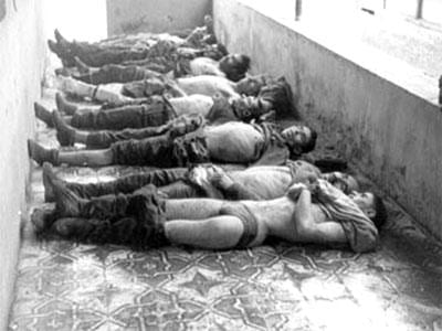 Un millier de martyrs découverts dans des fosses près de Beni Snous