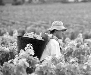 Un million d&rsquo;Algériens vivent en Espagne