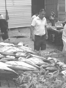 Un stock sous-exploité de près de 300.000 tonnes de poisson recensé