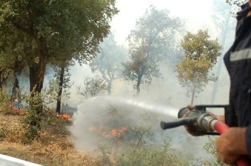 Une moyenne de 18 foyers d&rsquo;incendies par jour enregistrés depuis le 1er juin