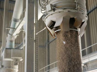 Une production algérienne de céréales record