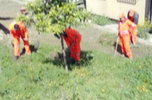 Voies publiques à Annaba Opération de désherbage ou… pyromanie ?