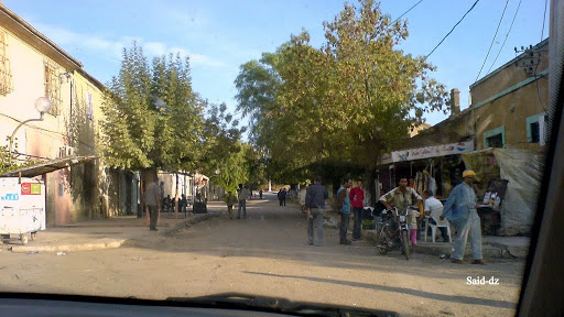 12 hectares de forêts décimés dans un incendie à Medjez Sfa