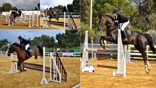 Challenge international de saut d’obstacle catégories A, B et C: le 1er tour vendredi à Skikda