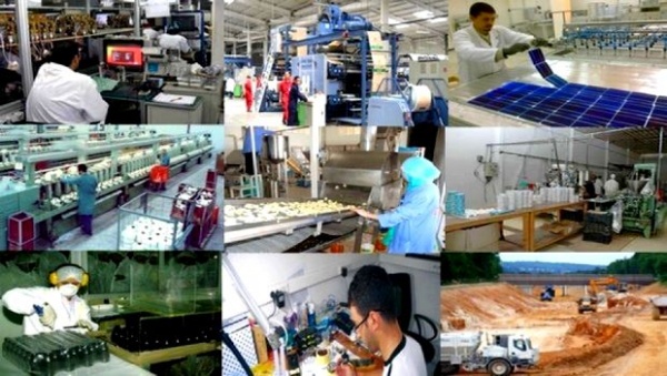 ANSEJ: 118 micro-entreprises financées par l’antenne d&rsquo;Alger-centre en sept mois