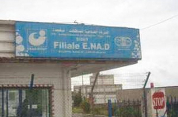 Ils réclament le payement des arriérés de leurs salaires: Les travailleurs de l’Enad de Sour El-Ghozlane ferment le CW127
