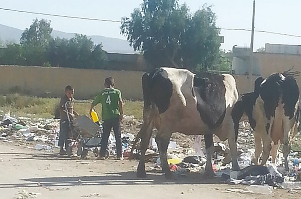 Alors qu’ils devaient être en classe: Des enfants cherchent du plastique de recyclage dans les ordures